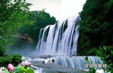 救援男孩贝利